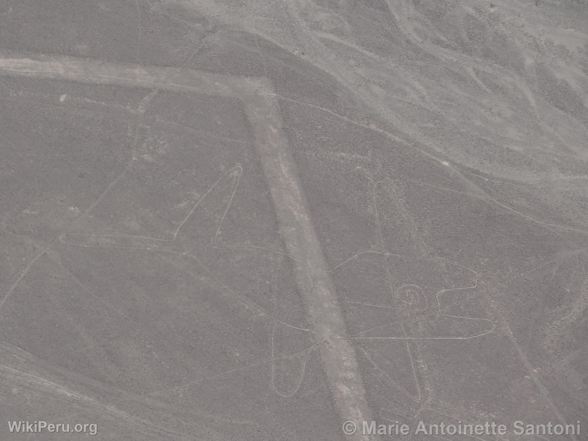 Lineas de Nazca