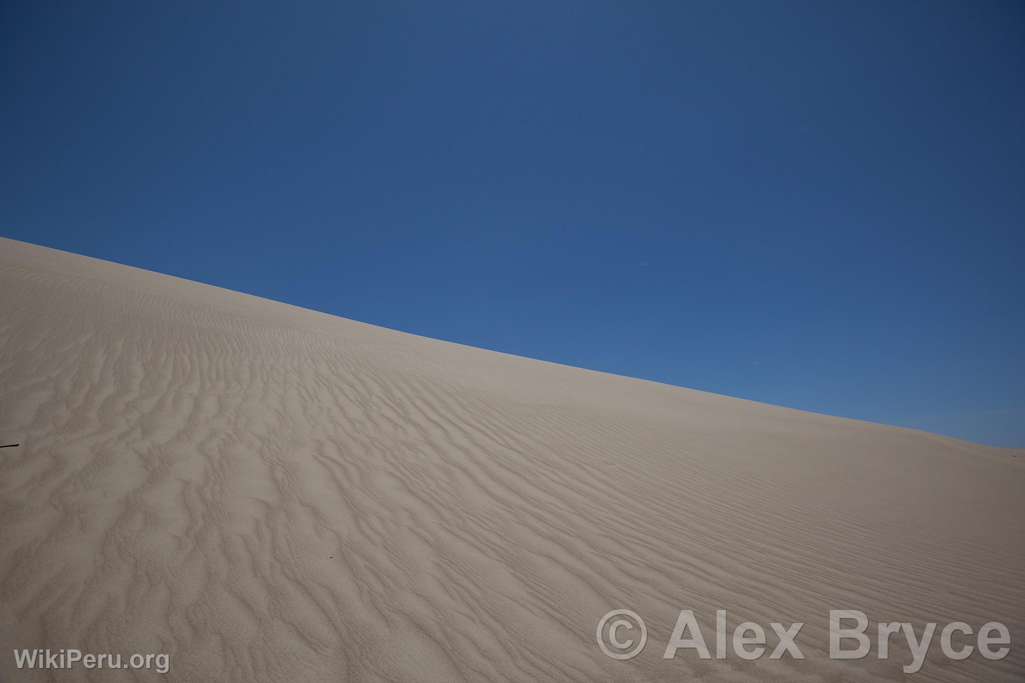 Duna y desierto en la Reserva Nacional Paracas