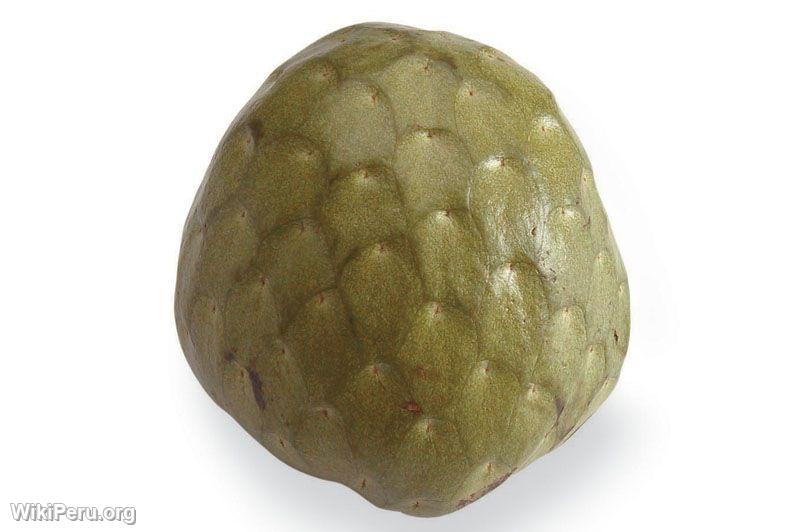 Chirimoya