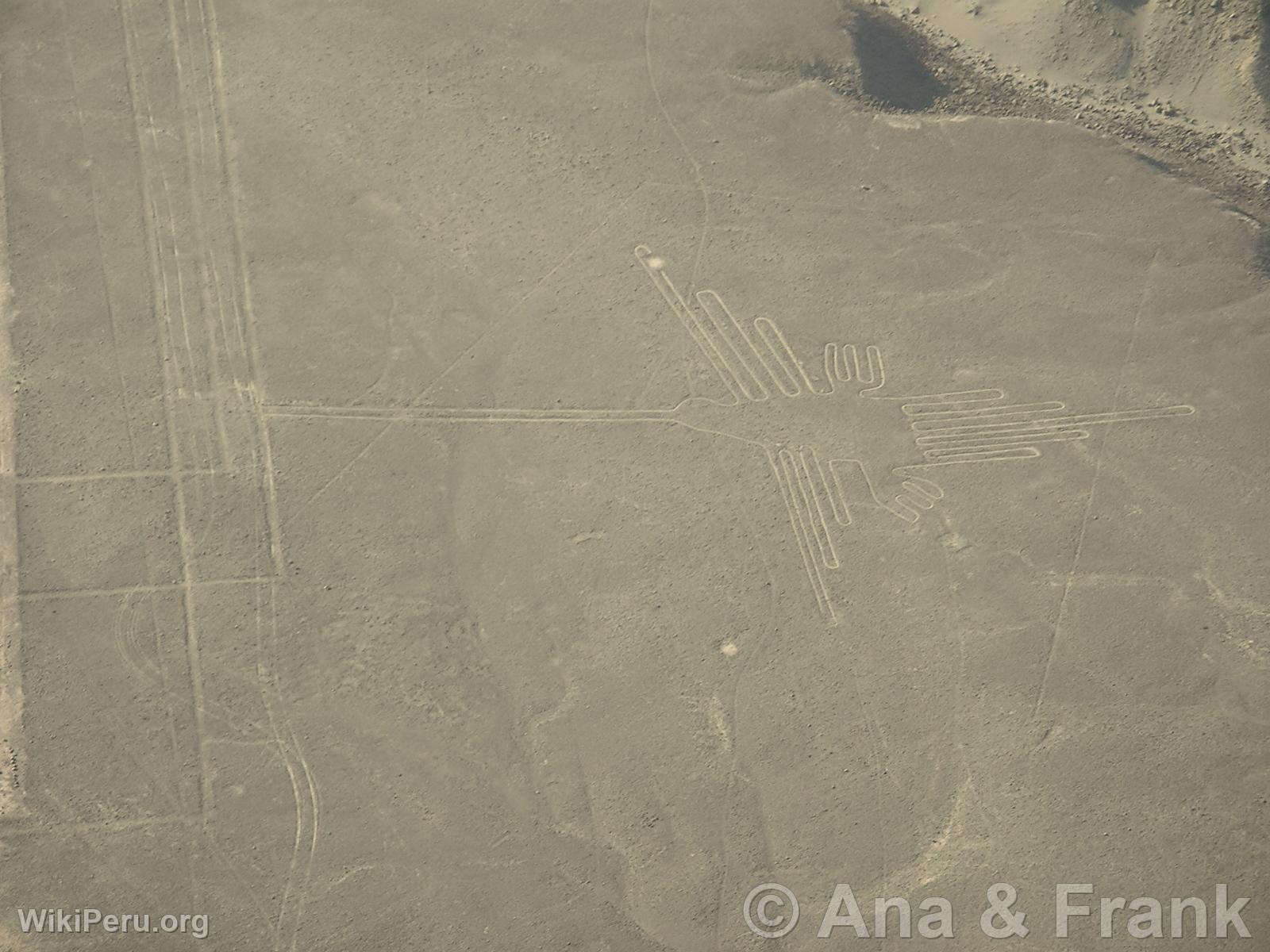 Nazca