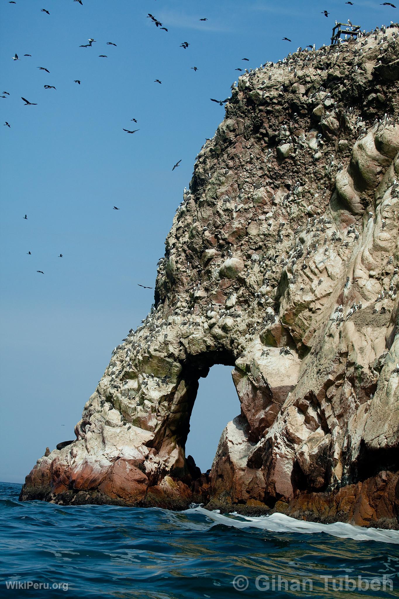 Islas Ballestas, Paracas