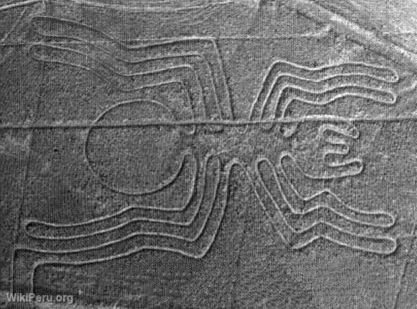 La araa, Nazca