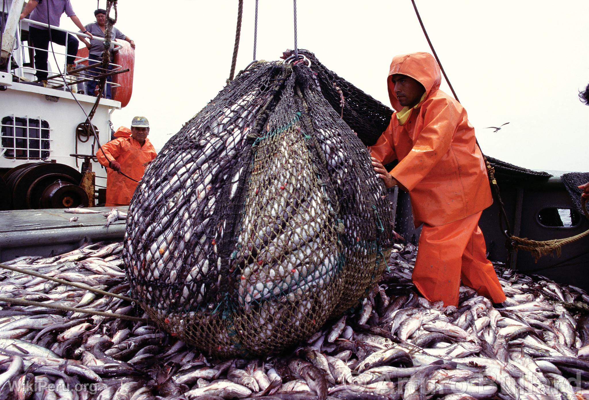 Pesca industrial, Chimbote