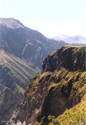 Colca