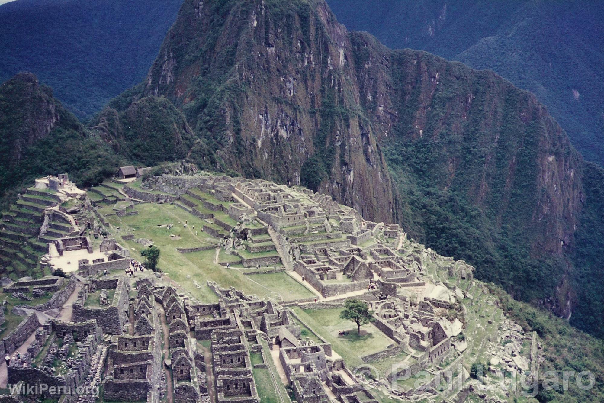 Machu Picchu