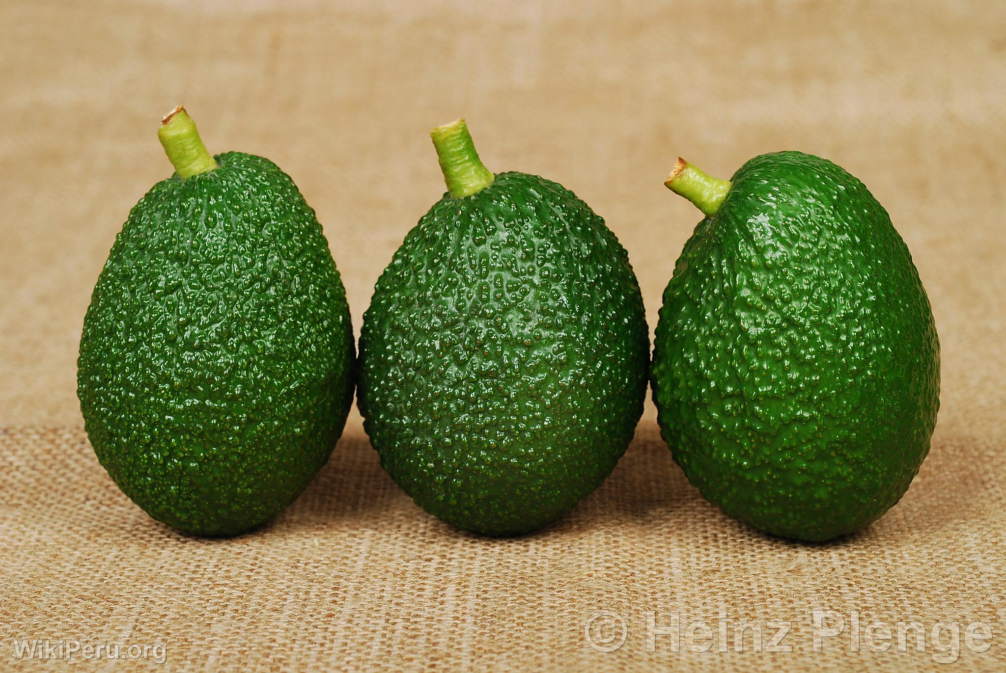 Palta hass