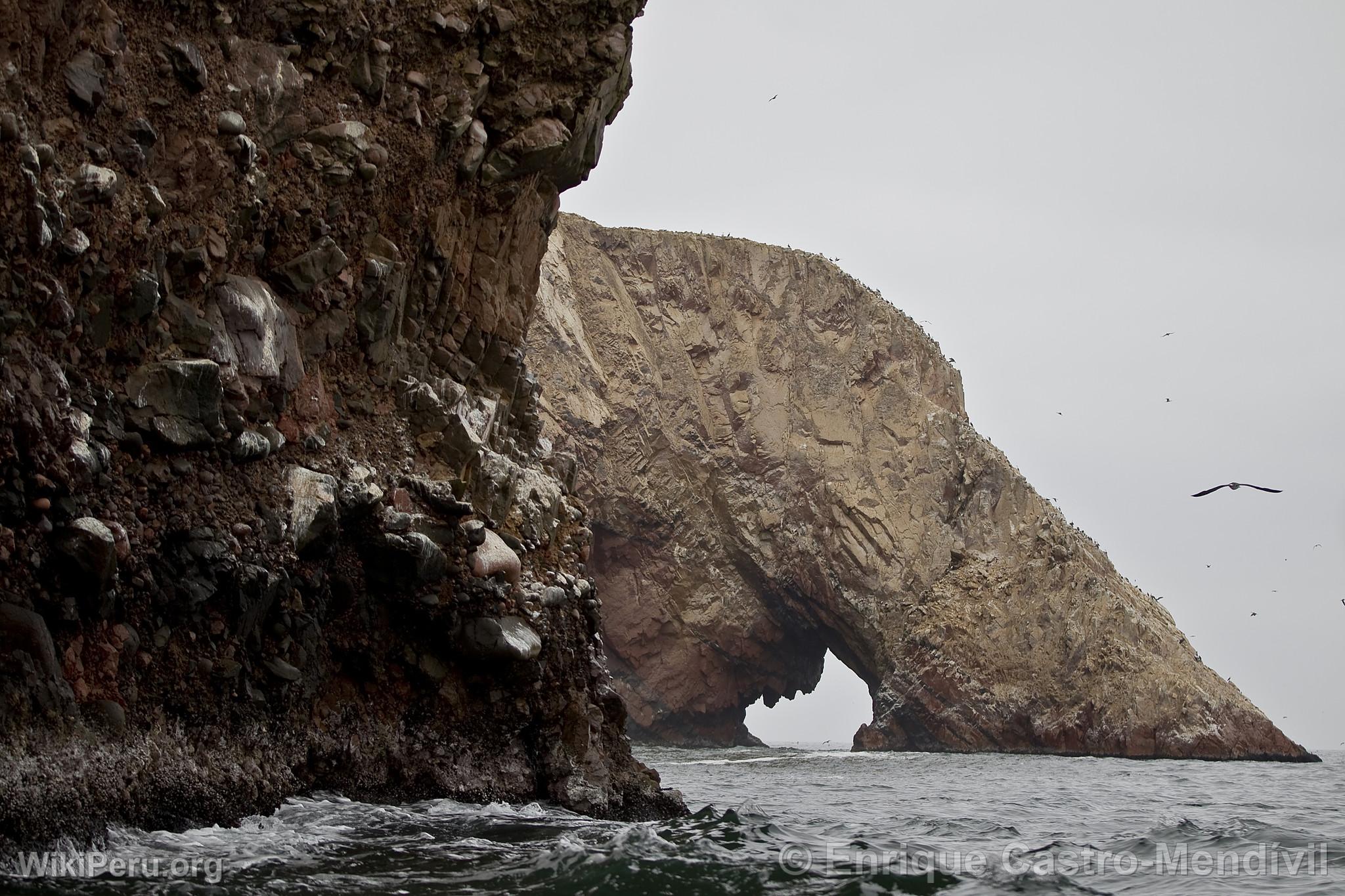 Reserva nacional de Paracas