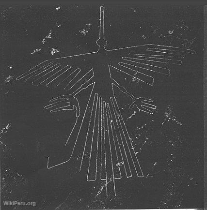El Ave, Nazca