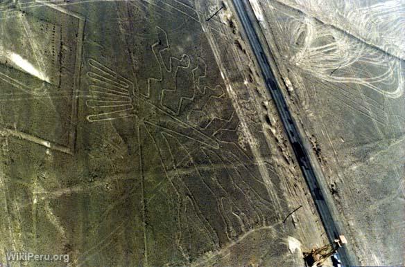 El Arbol, Nazca