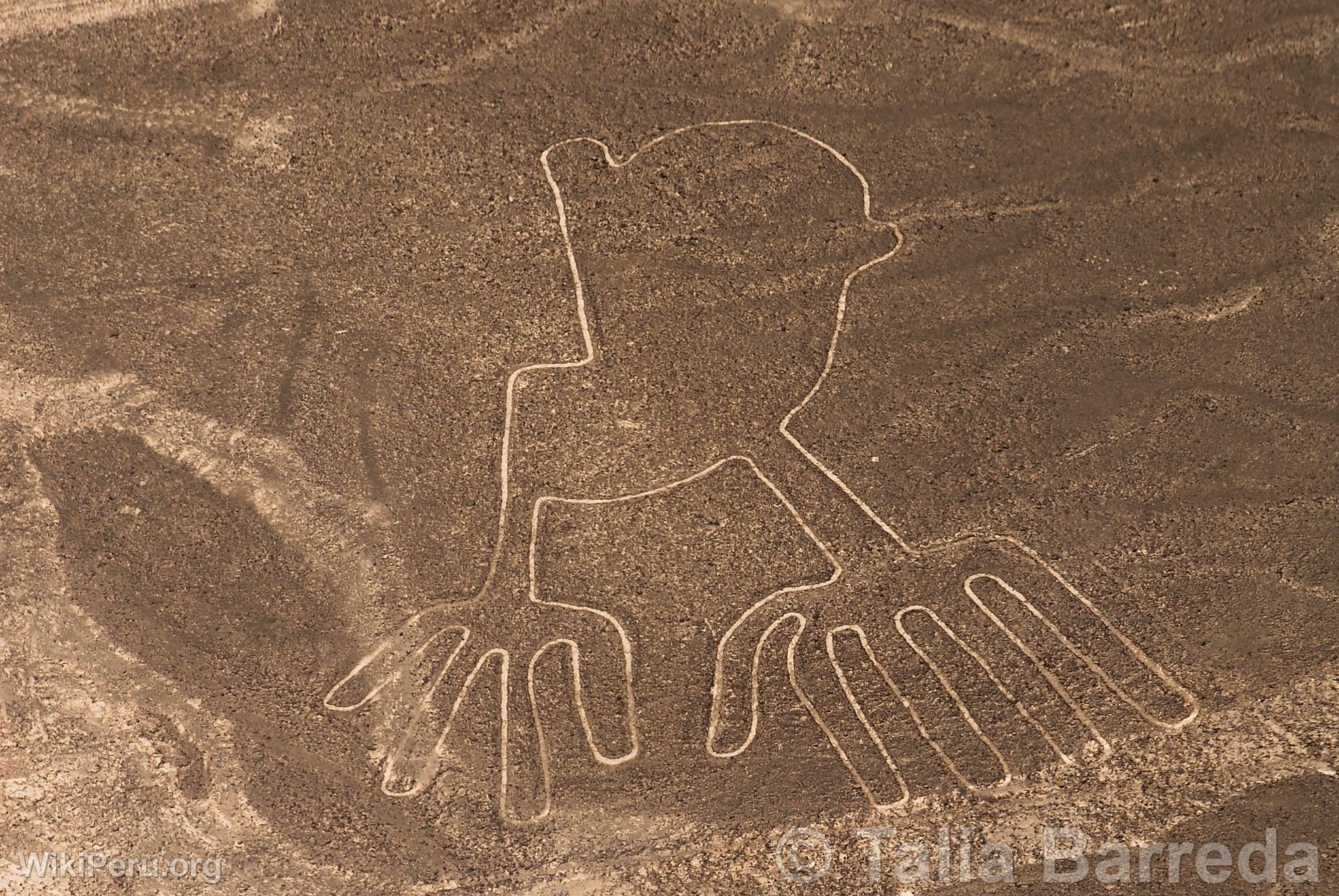 Lneas de Nazca