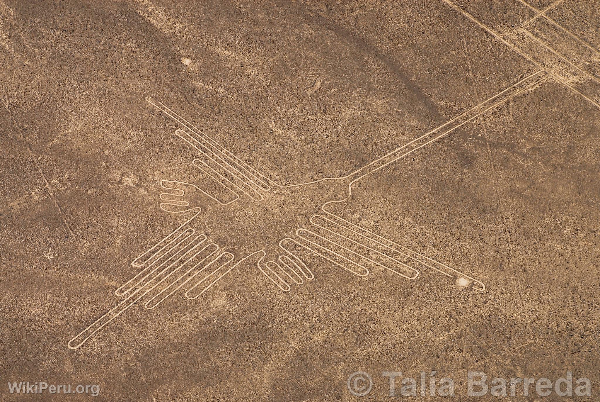 Lneas de Nazca