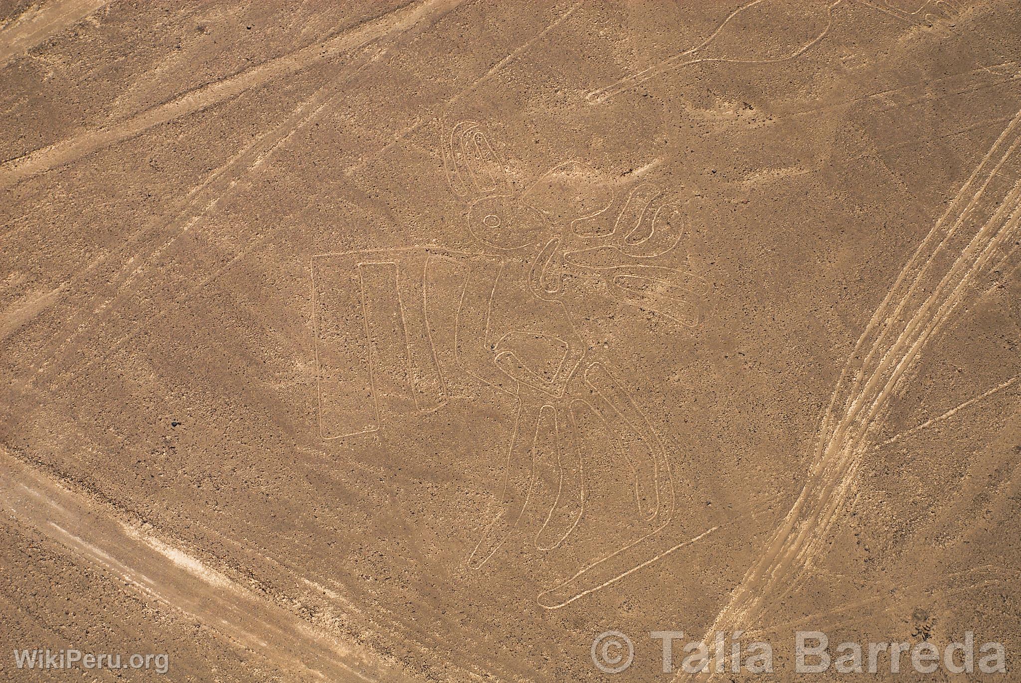 Lneas de Nazca