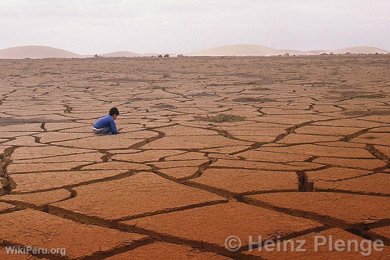 Desierto de Sechura