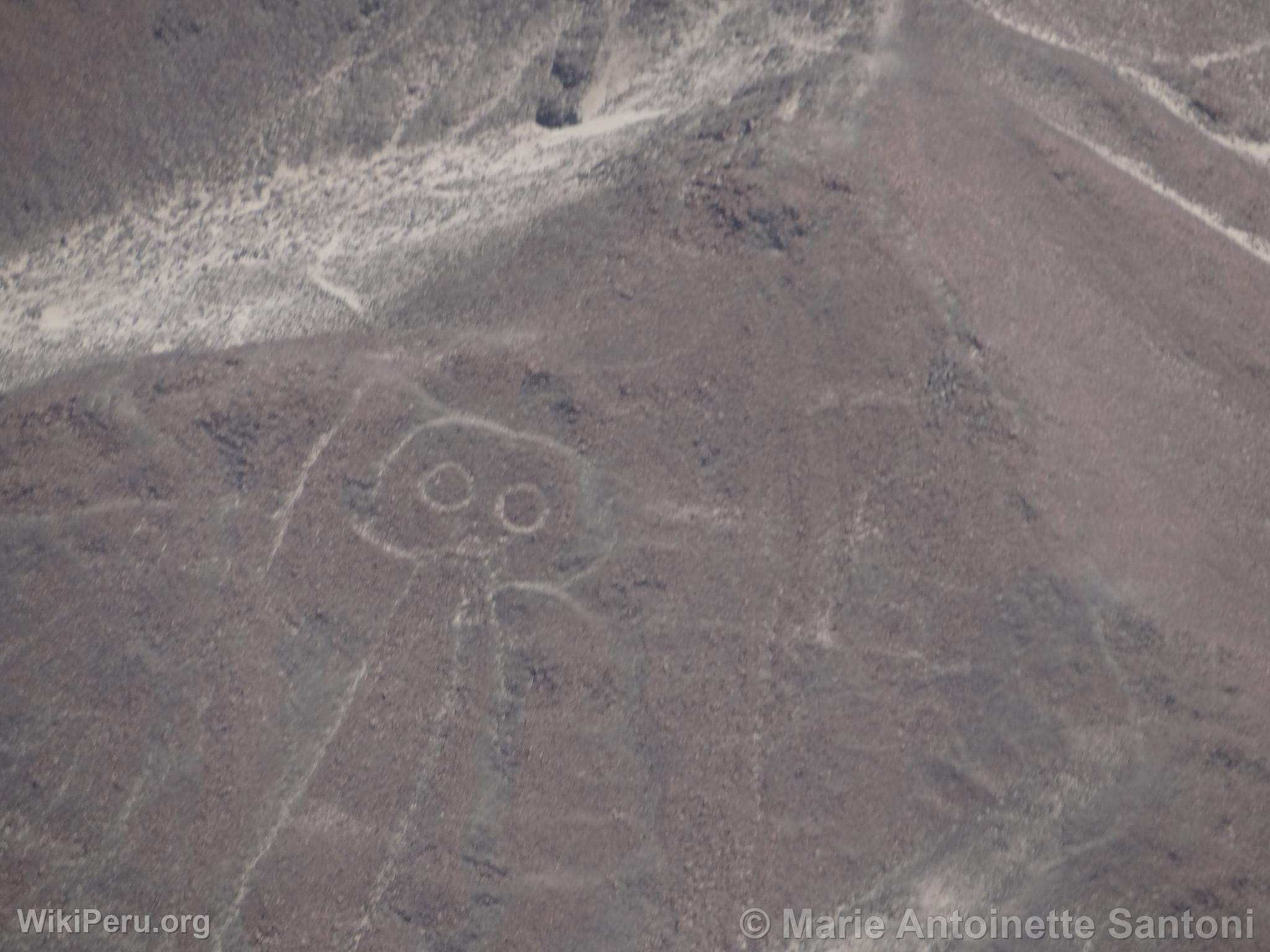 Lineas de Nazca