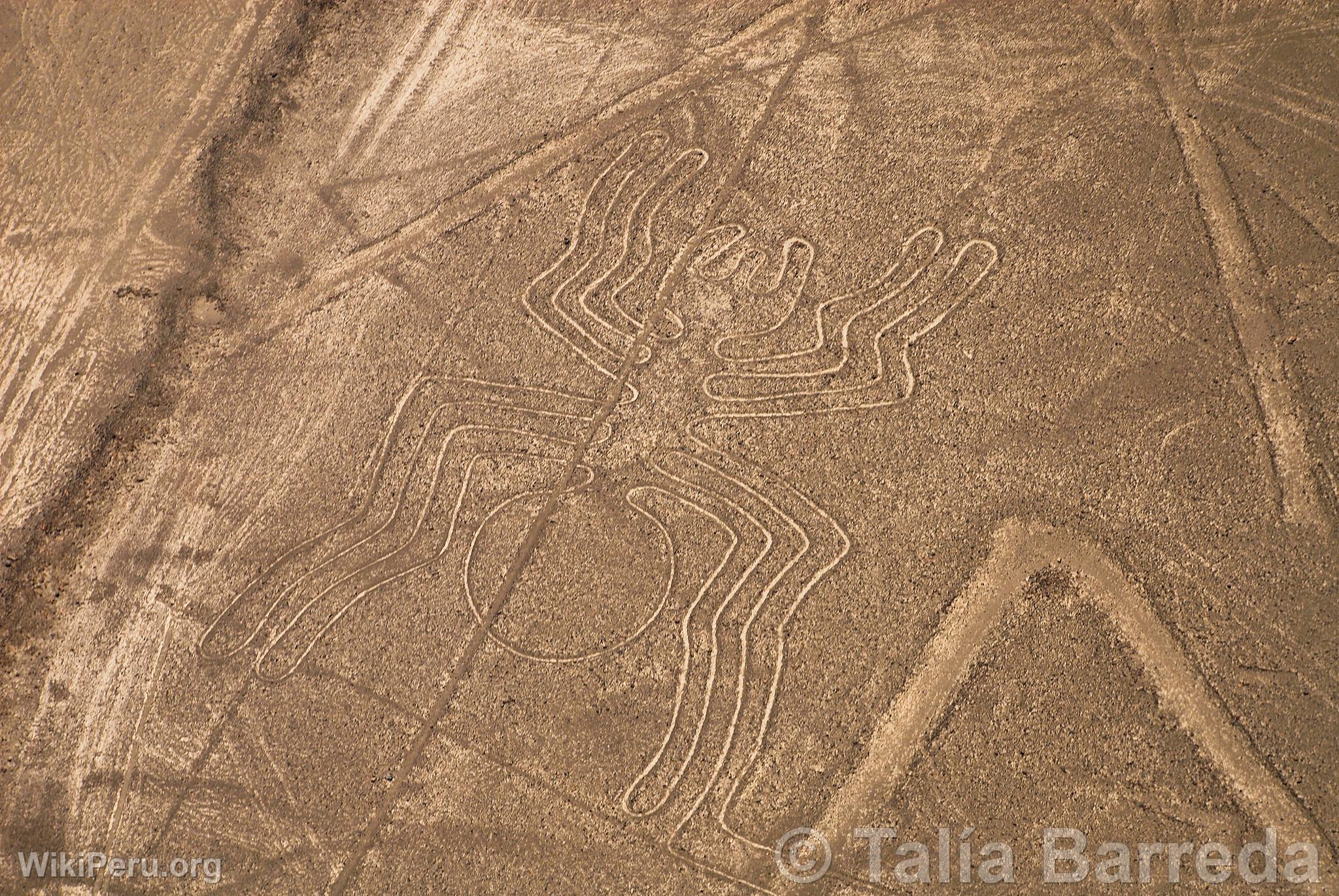 Lneas de Nazca