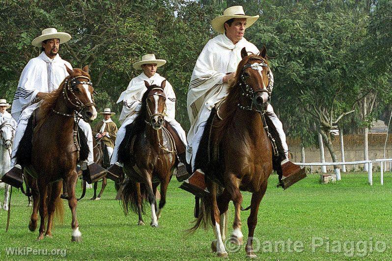 Caballo de paso