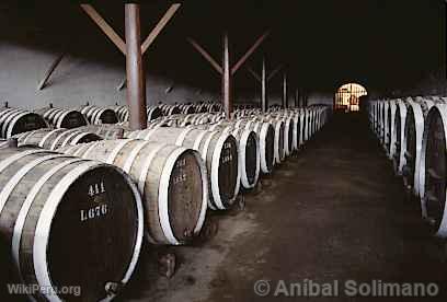 Bodega de vinos, Ica