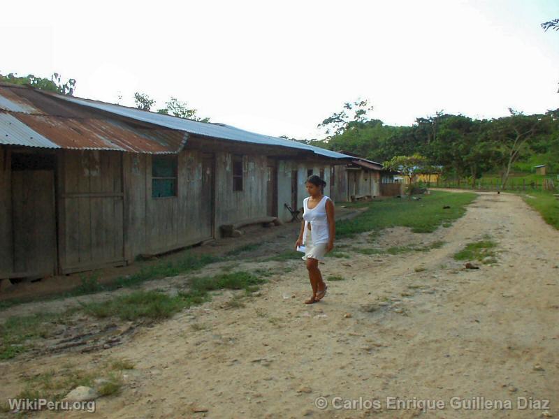 Carretera (Mashuyacu)