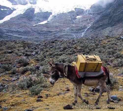 Cordillera Blanca