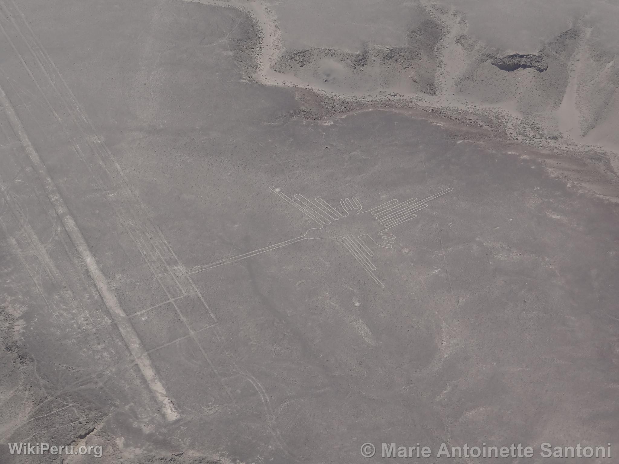 Lineas de Nazca