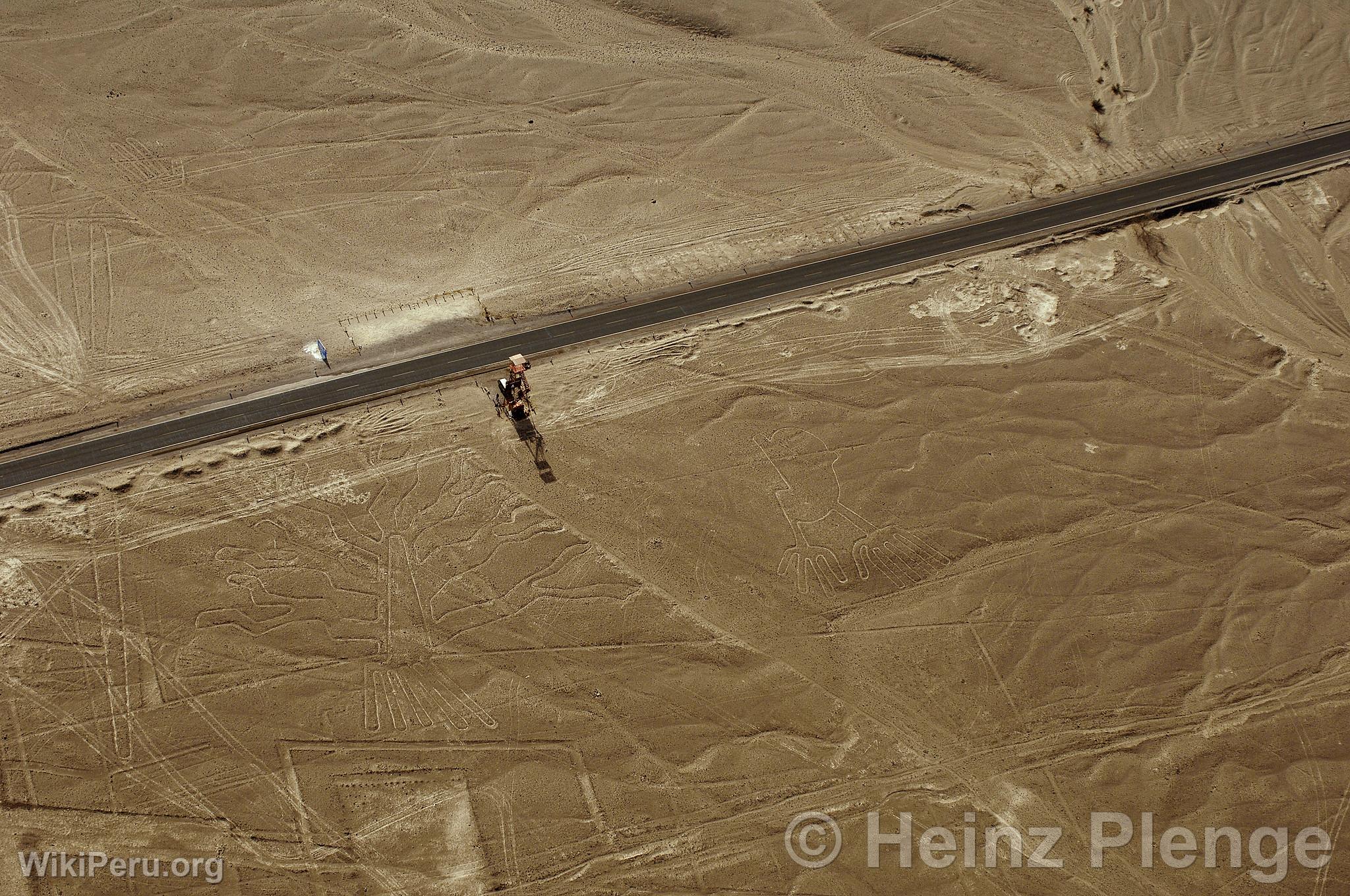 Lneas de Nazca