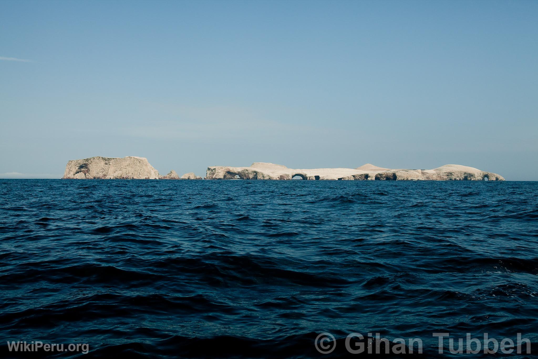 Islas Ballestas, Paracas