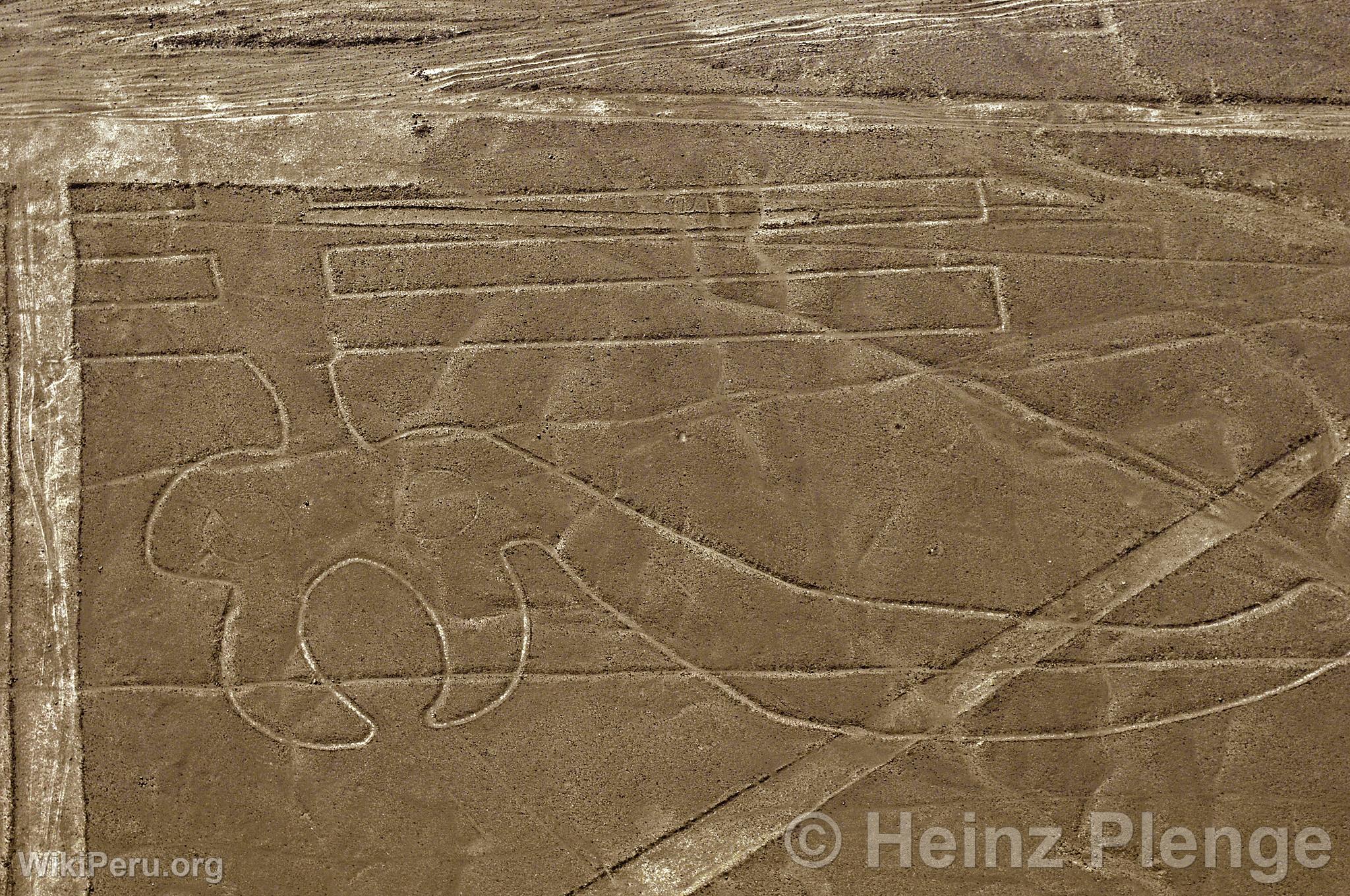 Lneas de Nazca