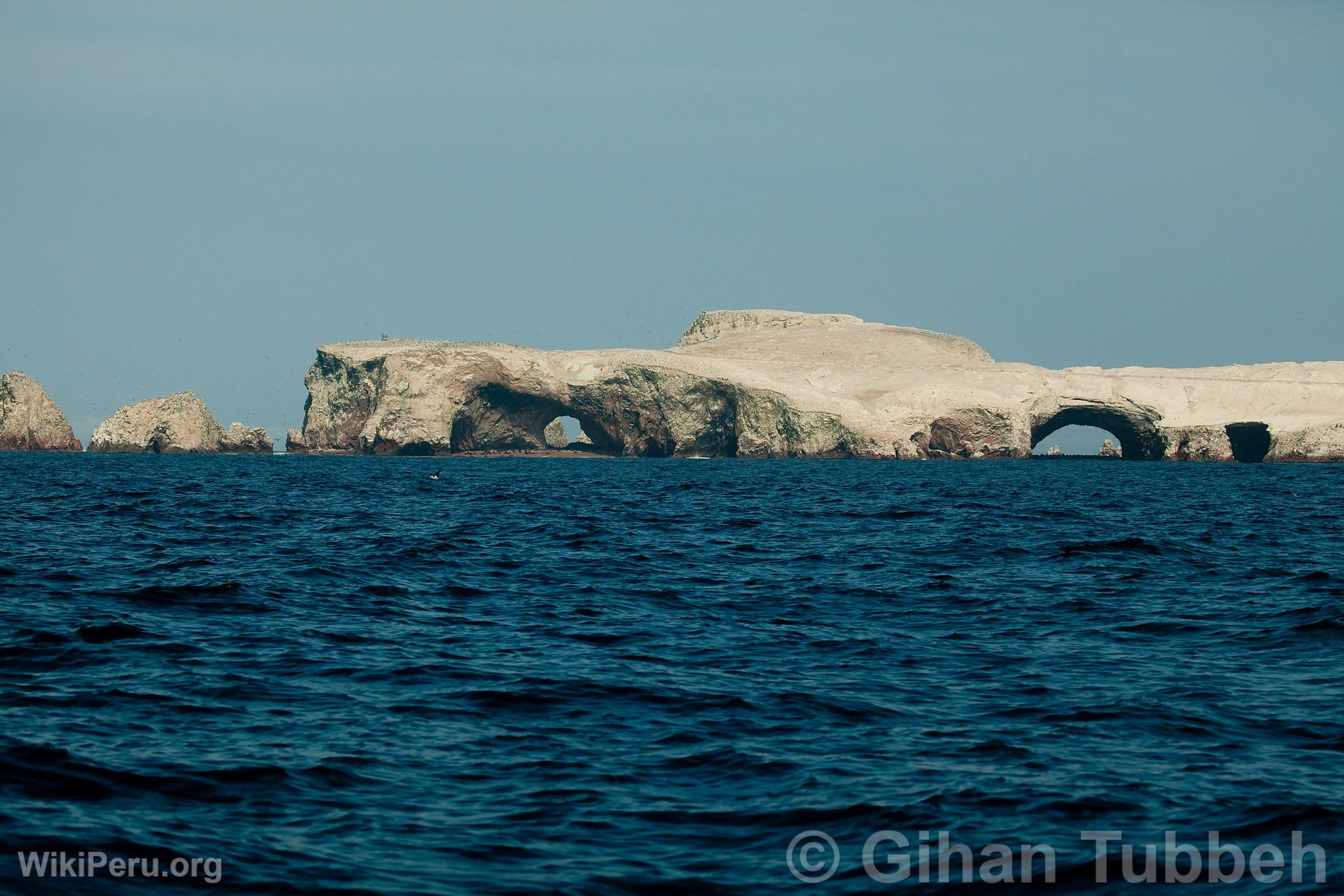 Islas Ballestas, Paracas