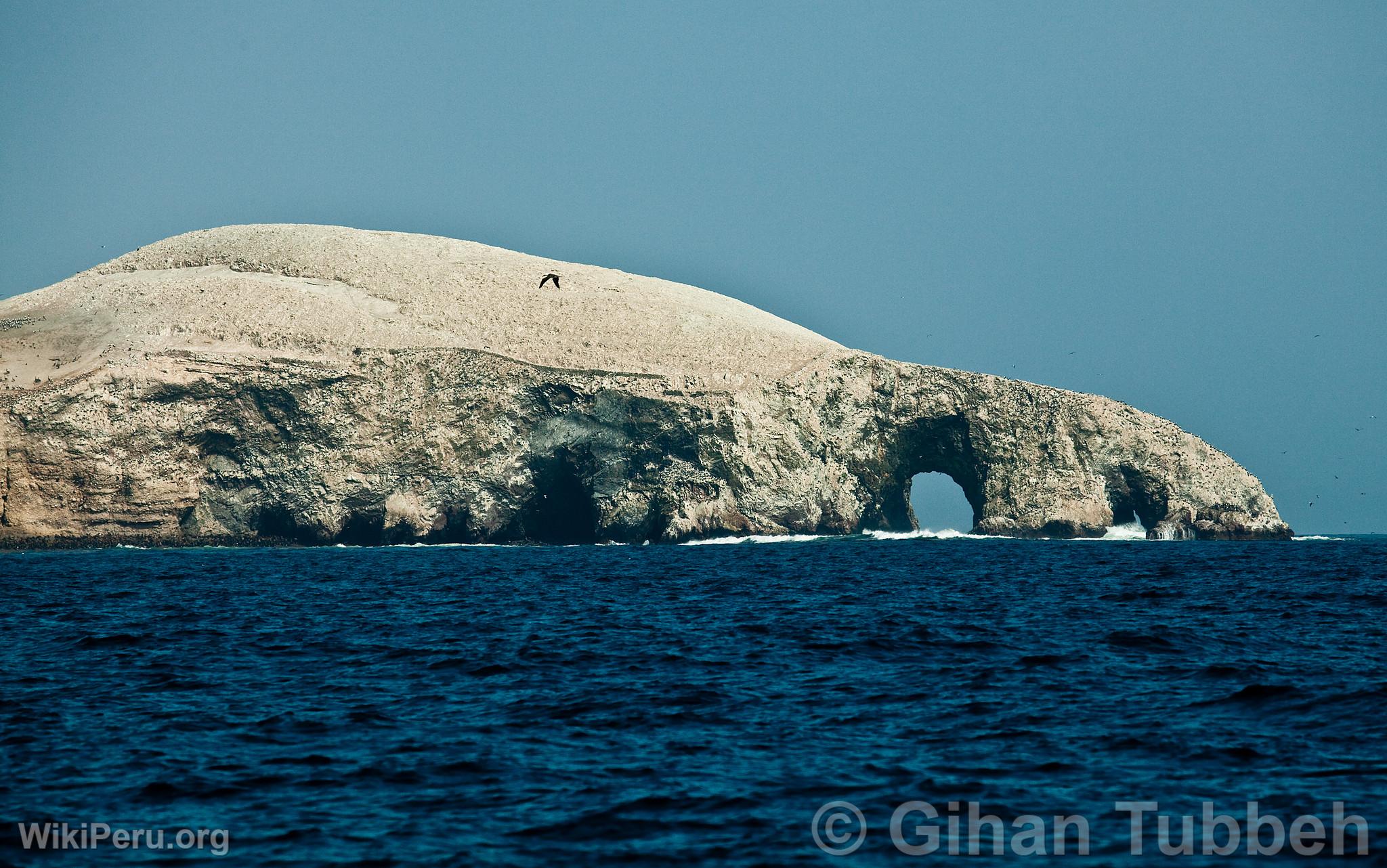 Islas Ballestas, Paracas