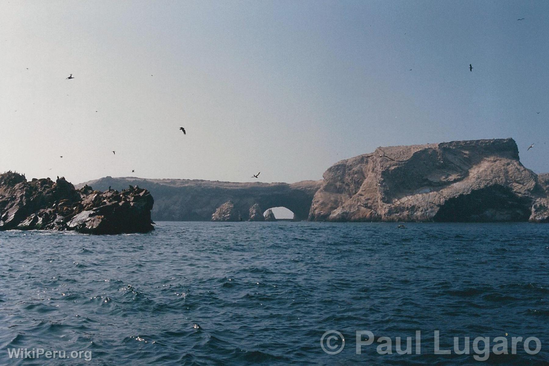 Islas Ballestas, Paracas