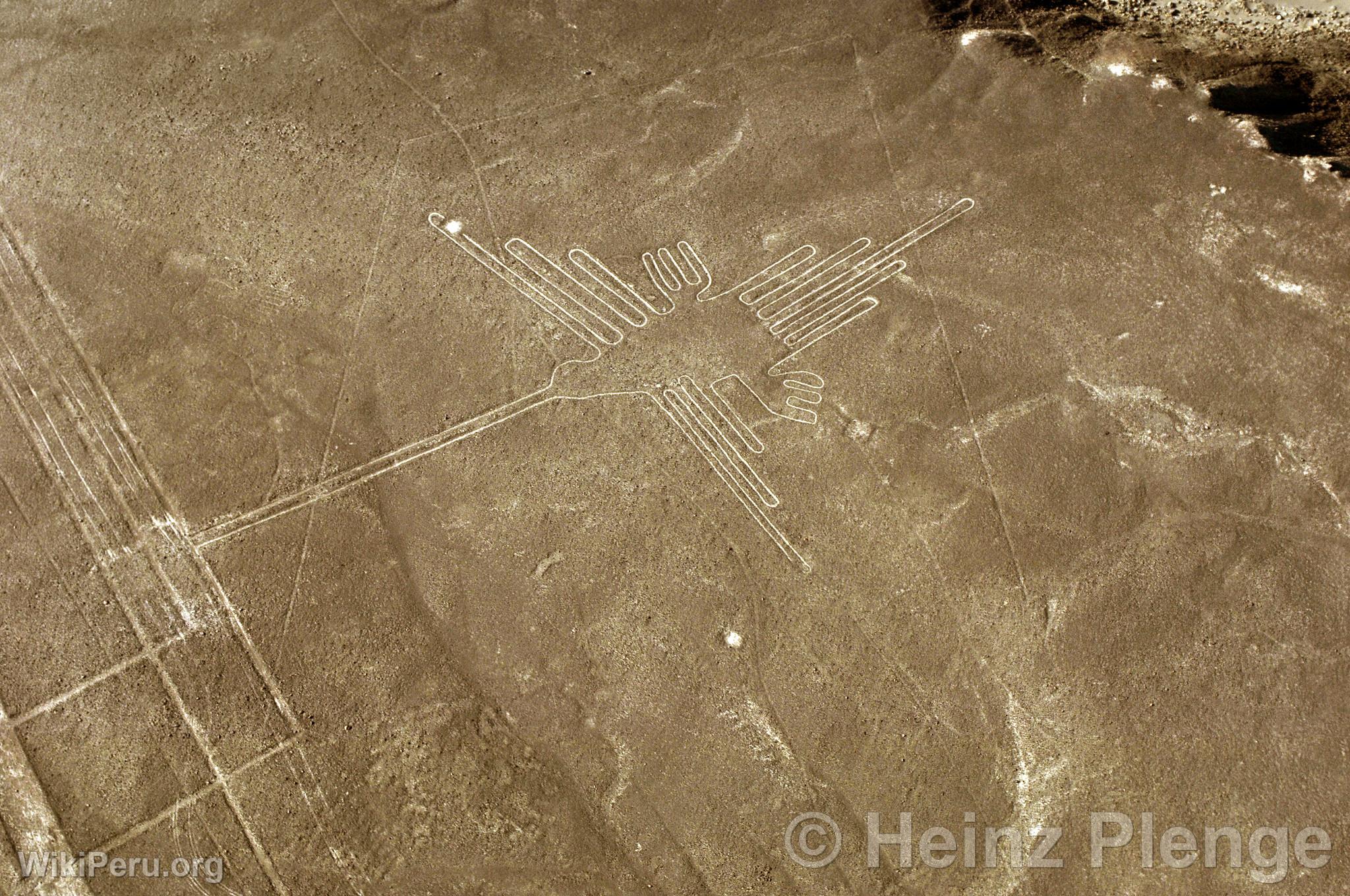 Lneas de Nazca