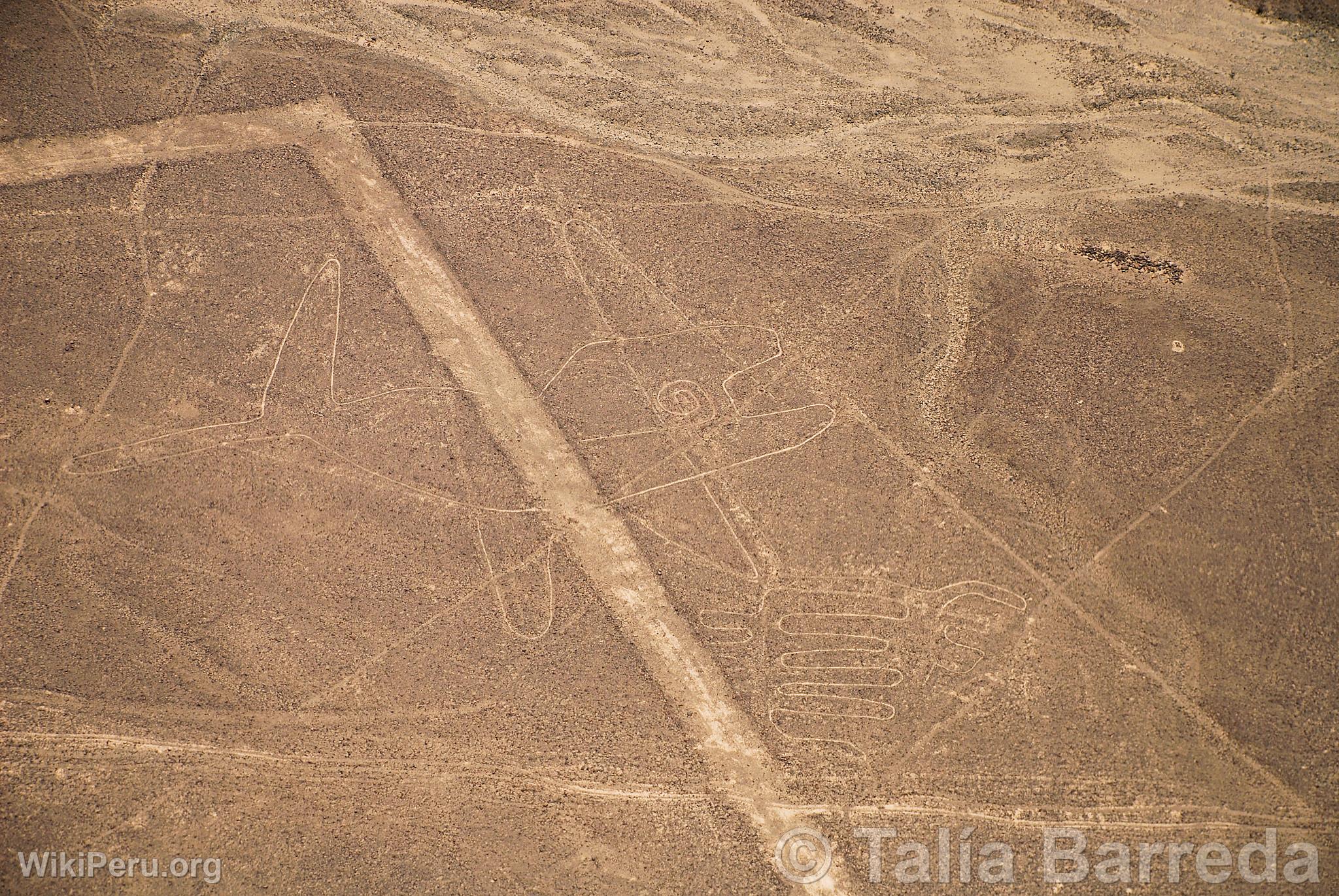 Lneas de Nazca