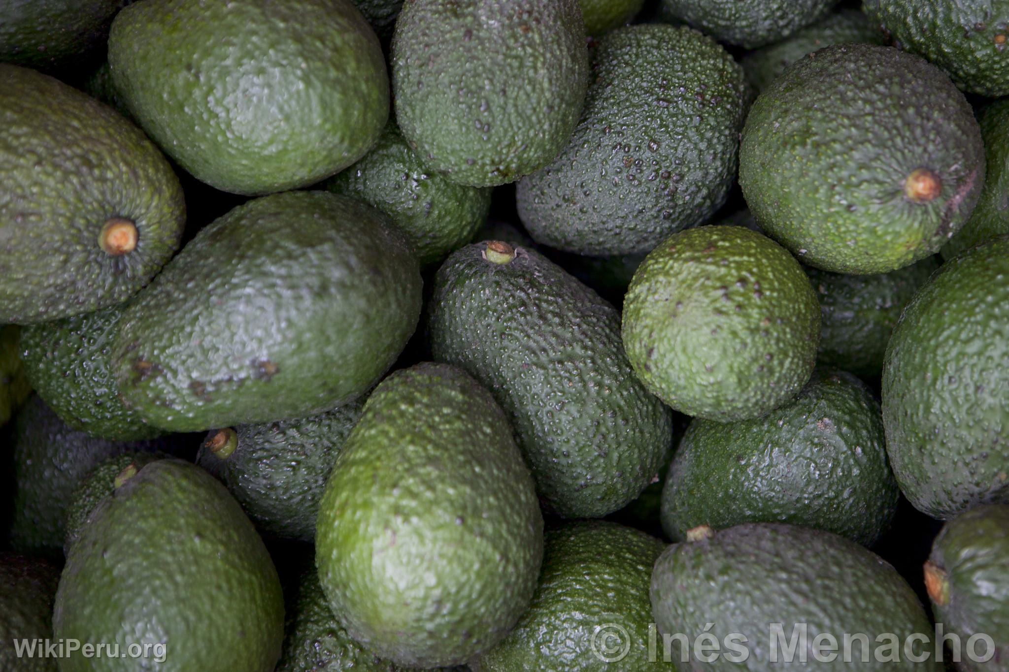 Palta hass