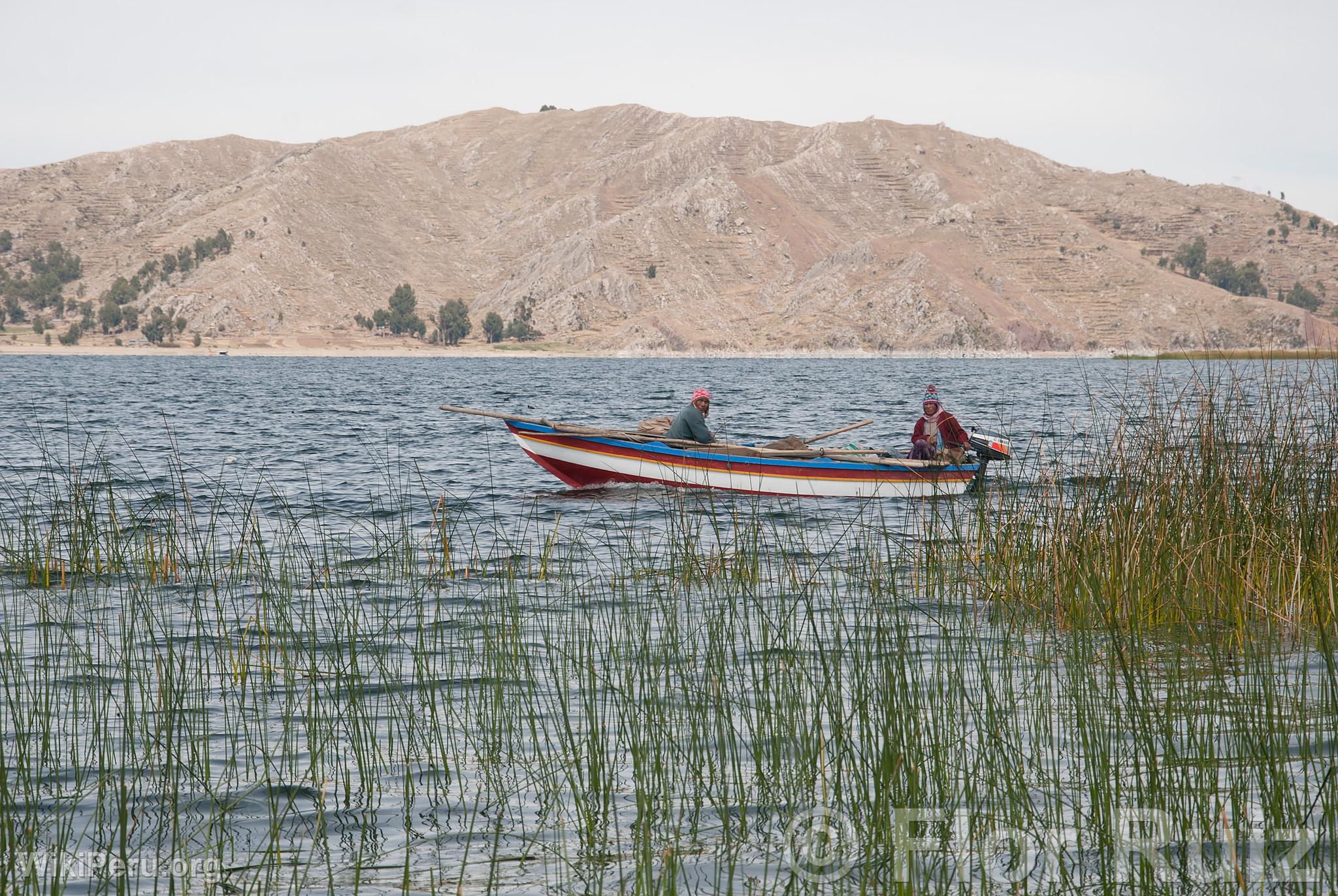 Isla Tikonata en el Lago Titicaca