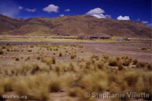 Tren entre Puno y Cuzco