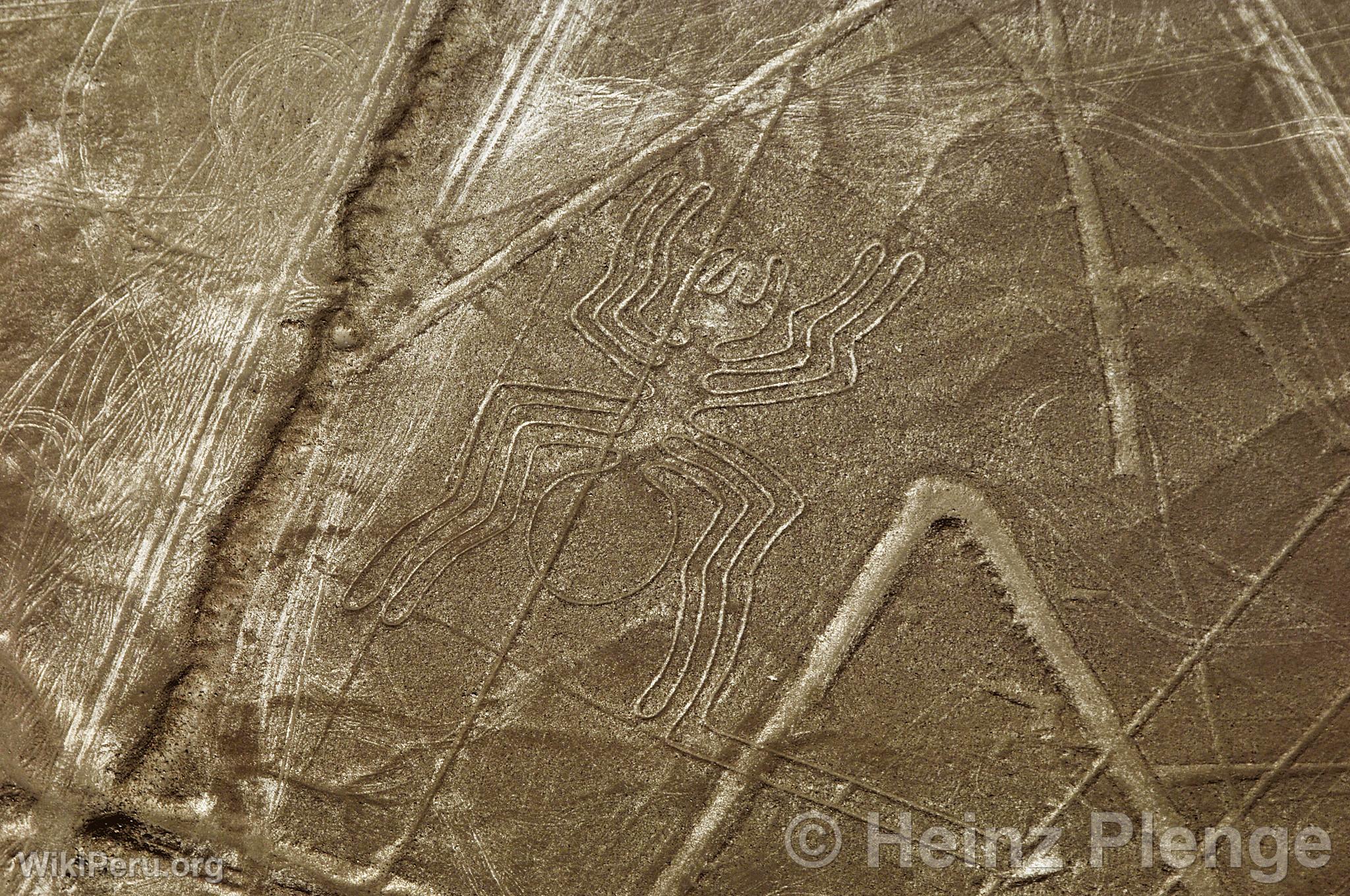 Lneas de Nazca