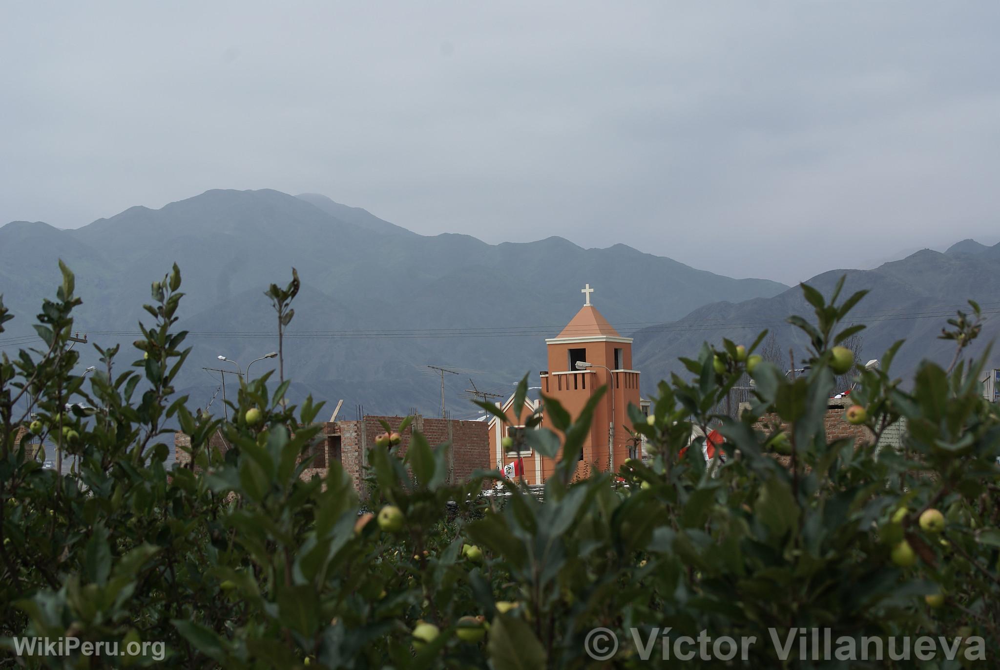 Campo en Azpitia