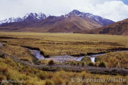 Tren entre Puno y Cuzco