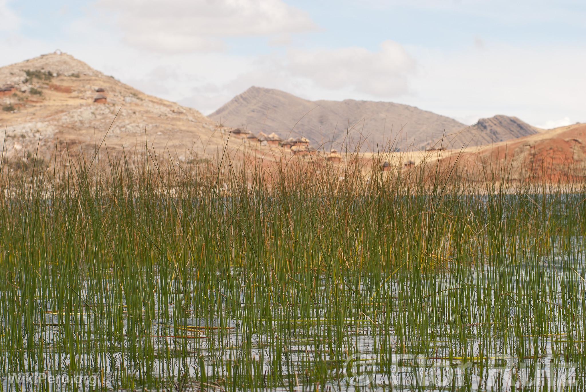 Isla Tikonata en el Lago Titicaca