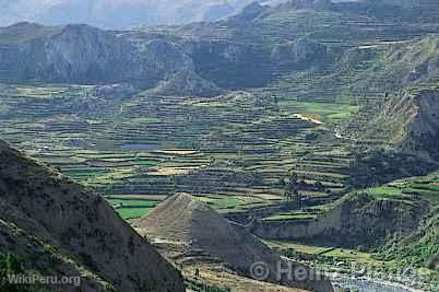 Can del Colca