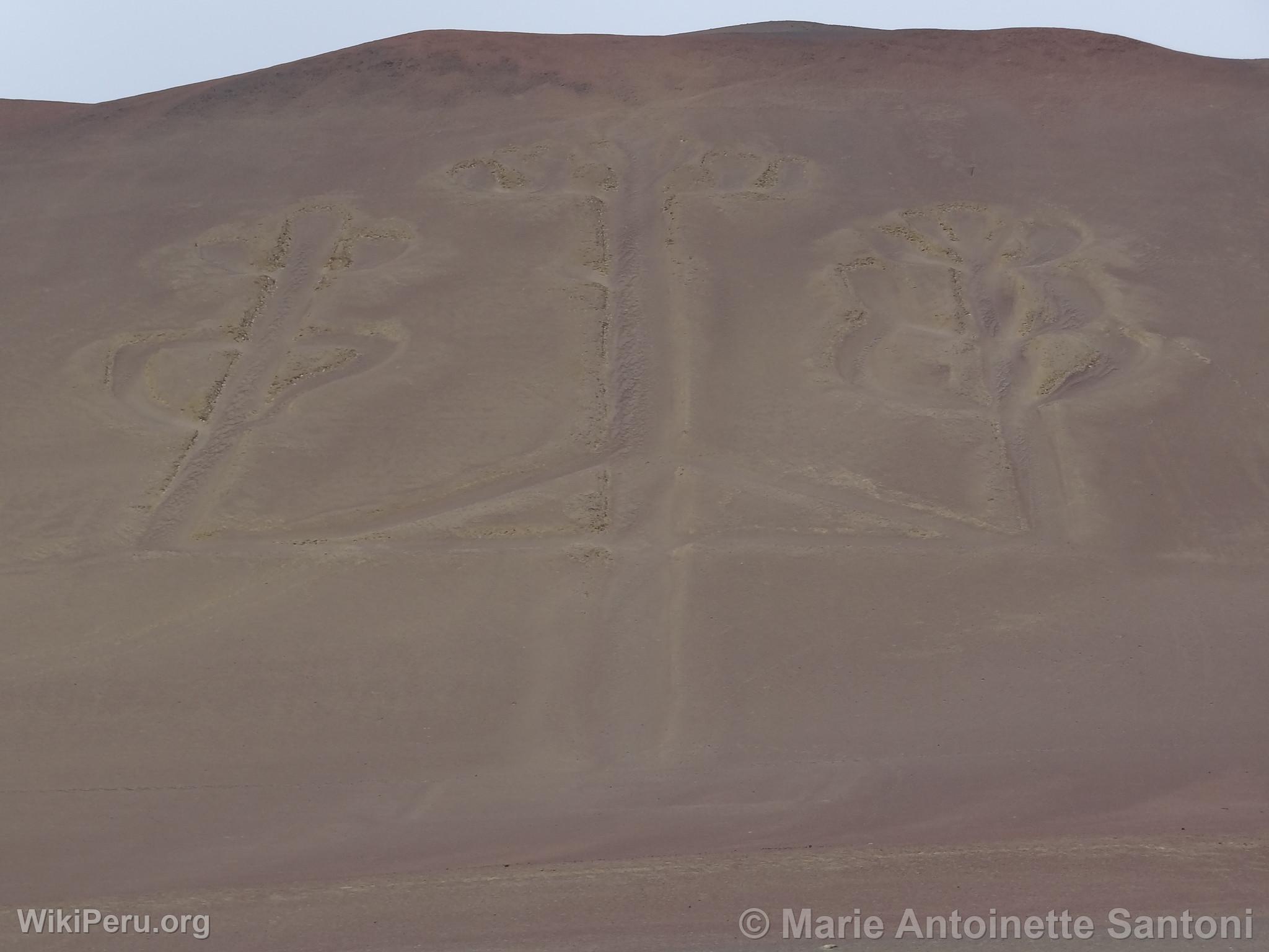 Islas Ballestas, Paracas