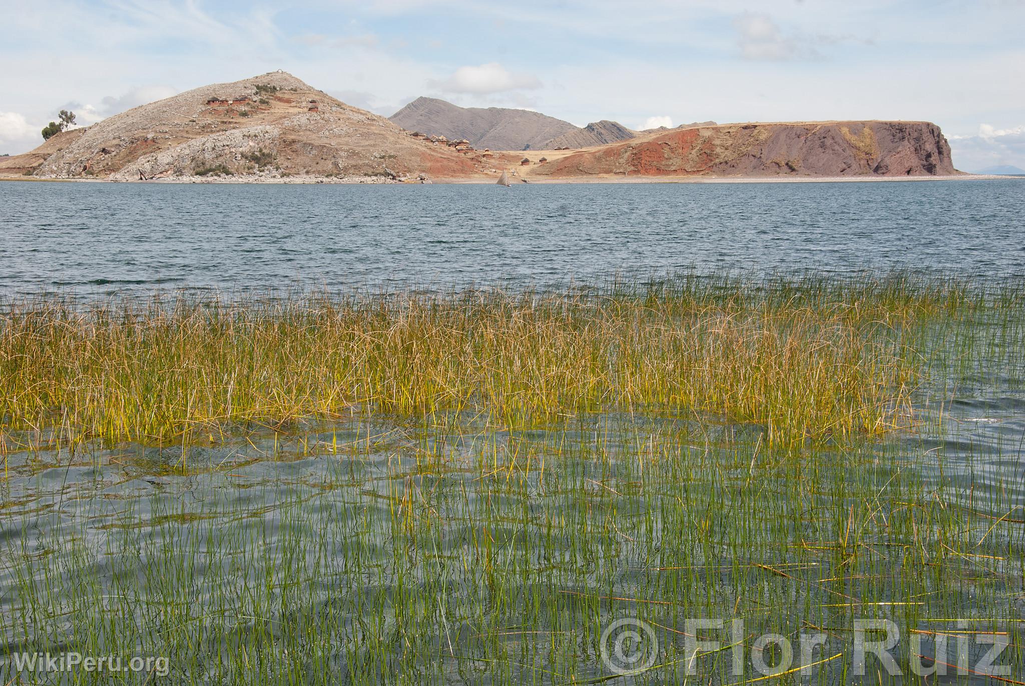 Isla Tikonata en el Lago Titicaca