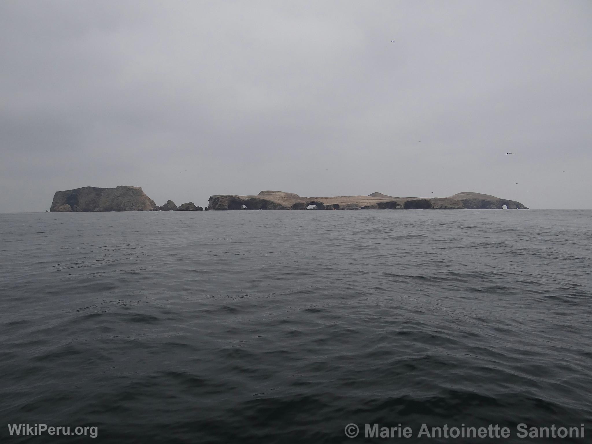 Islas Ballestas, Paracas