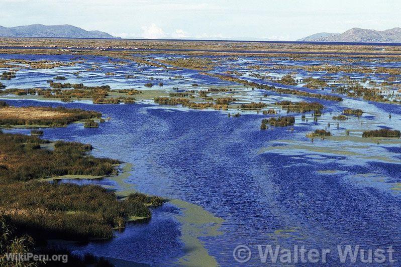 Lago Titicaca