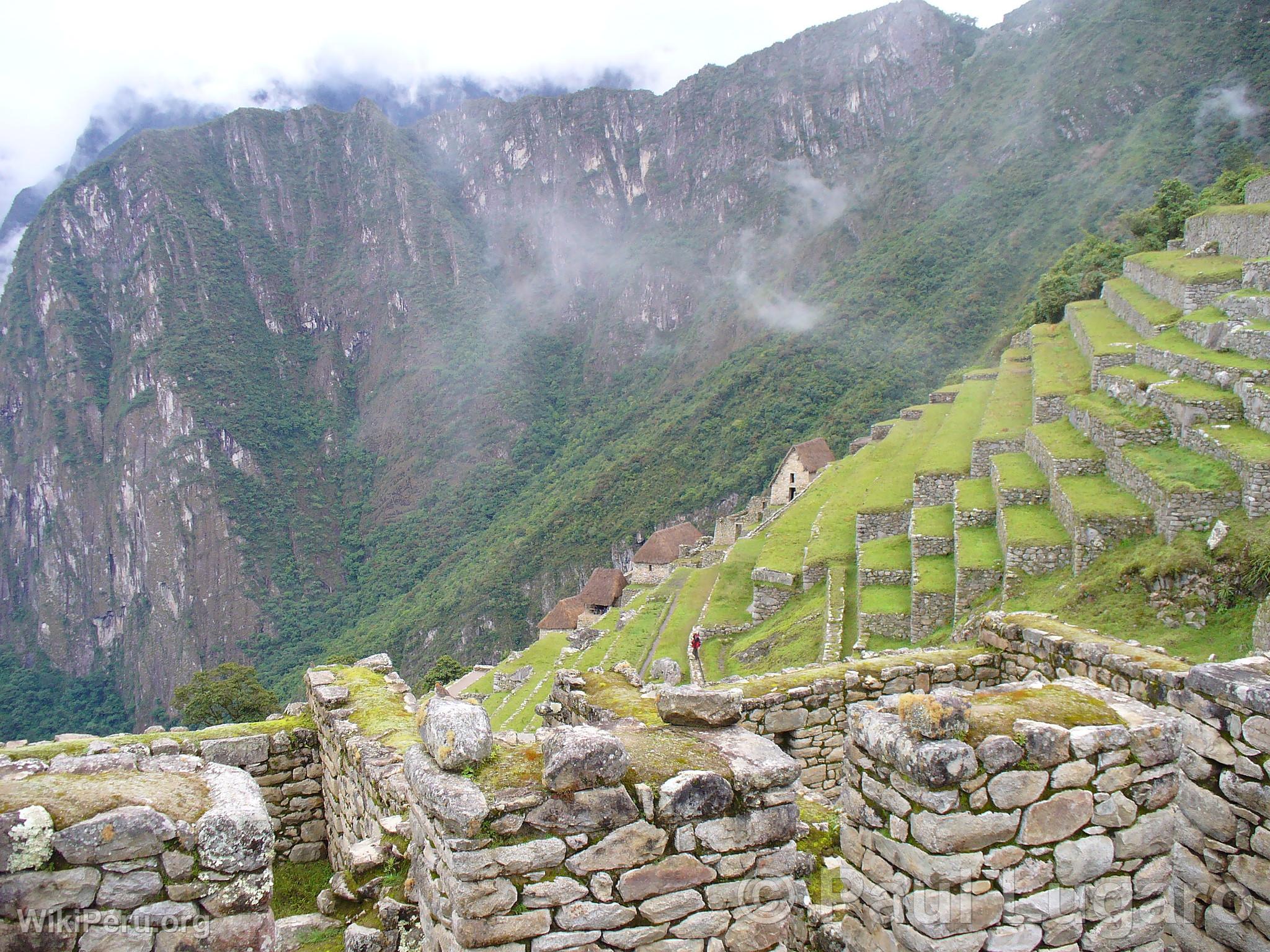 Machu Picchu