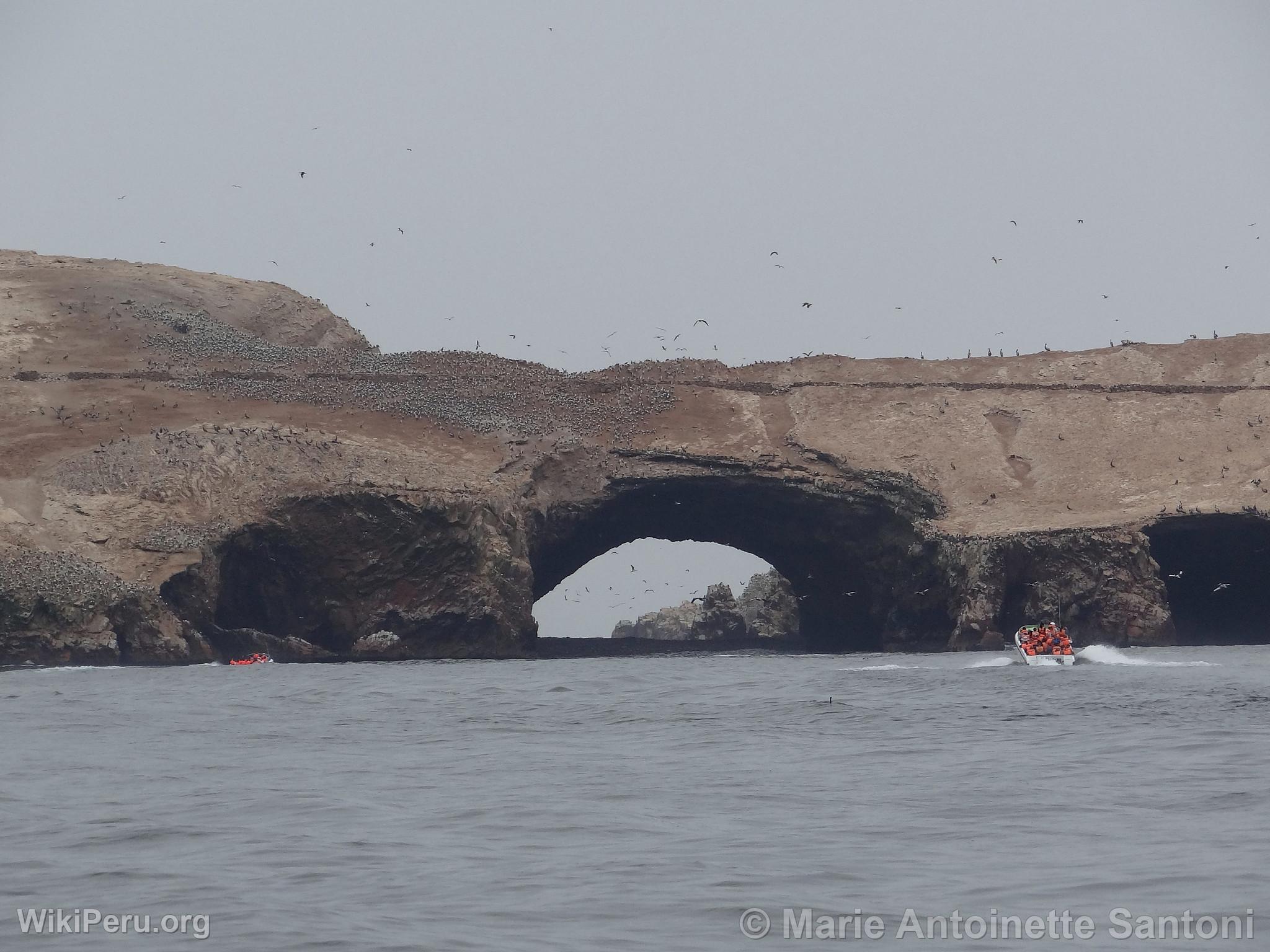 Islas Ballestas, Paracas