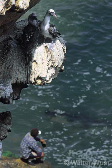 Pescador en las afueras del puerto de Ilo