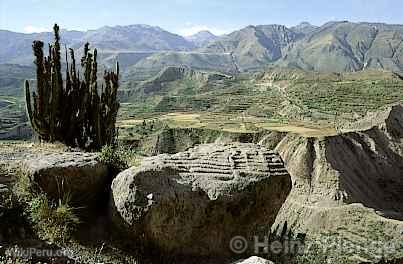 Can del Colca