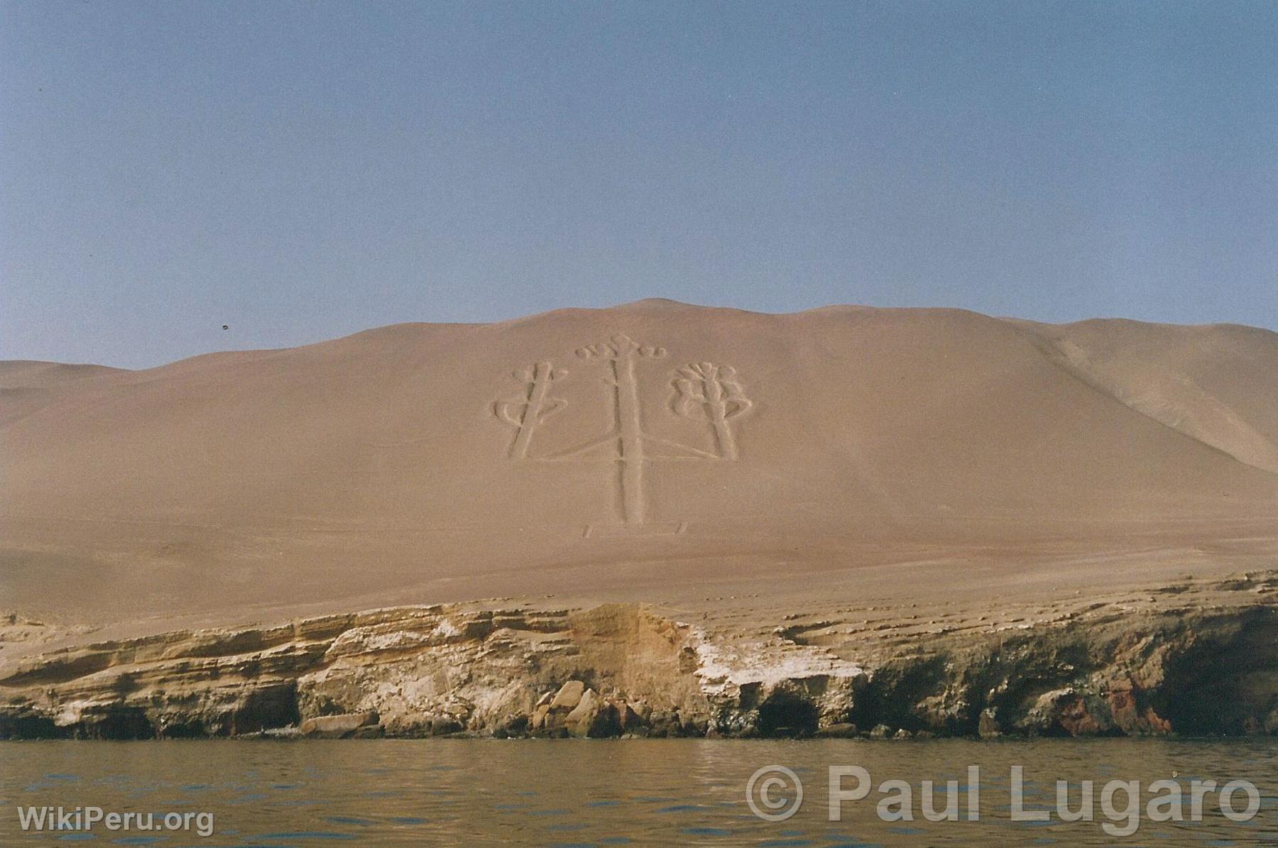 Islas Ballestas, Paracas