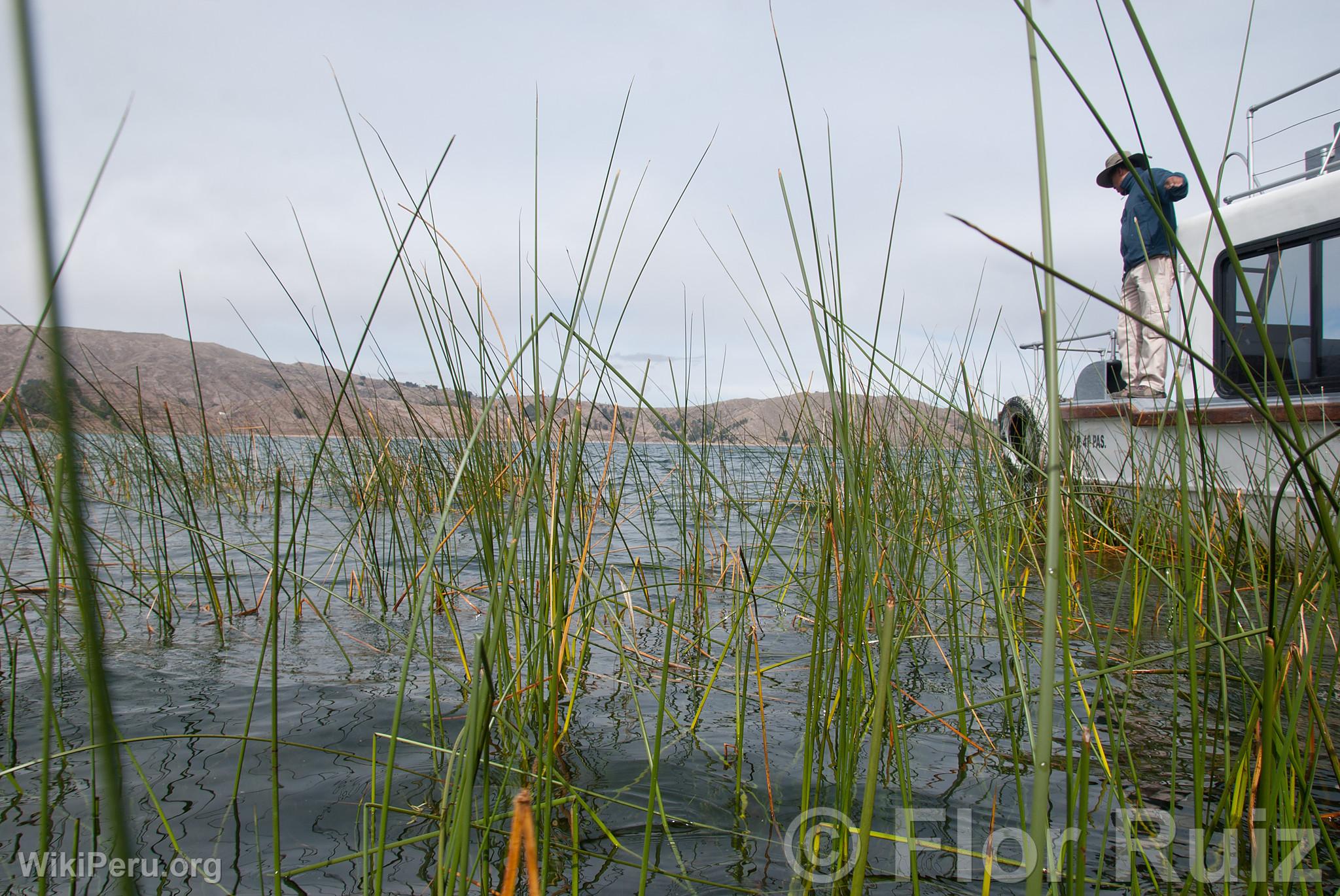 Lago Titicaca